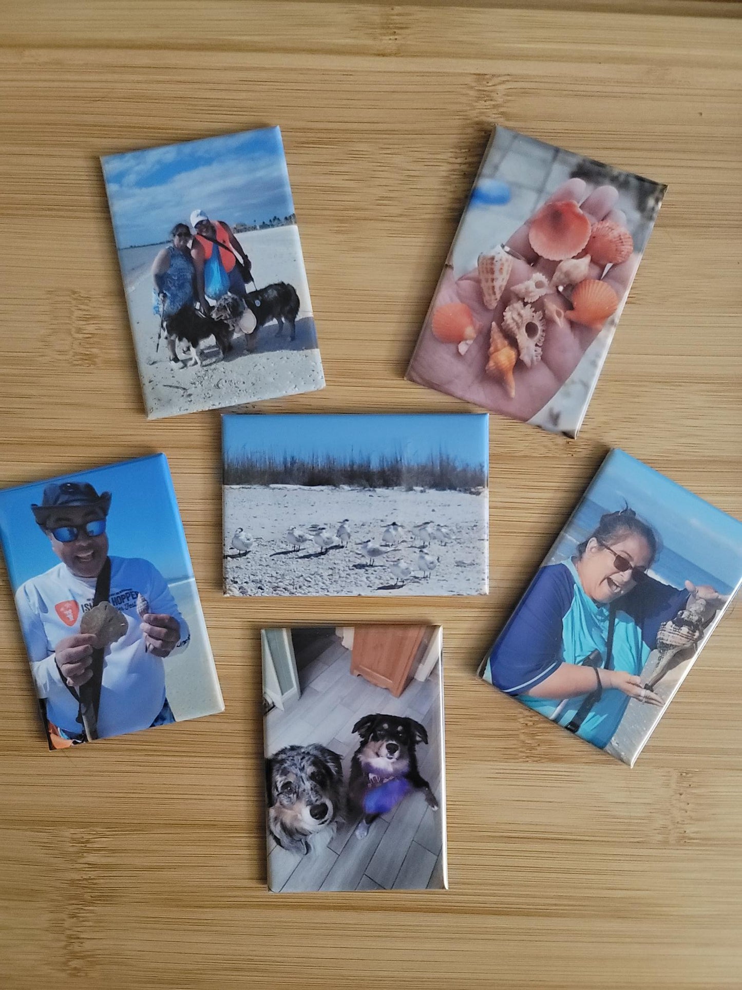 2x3 inch Photo Magnet Set of 6