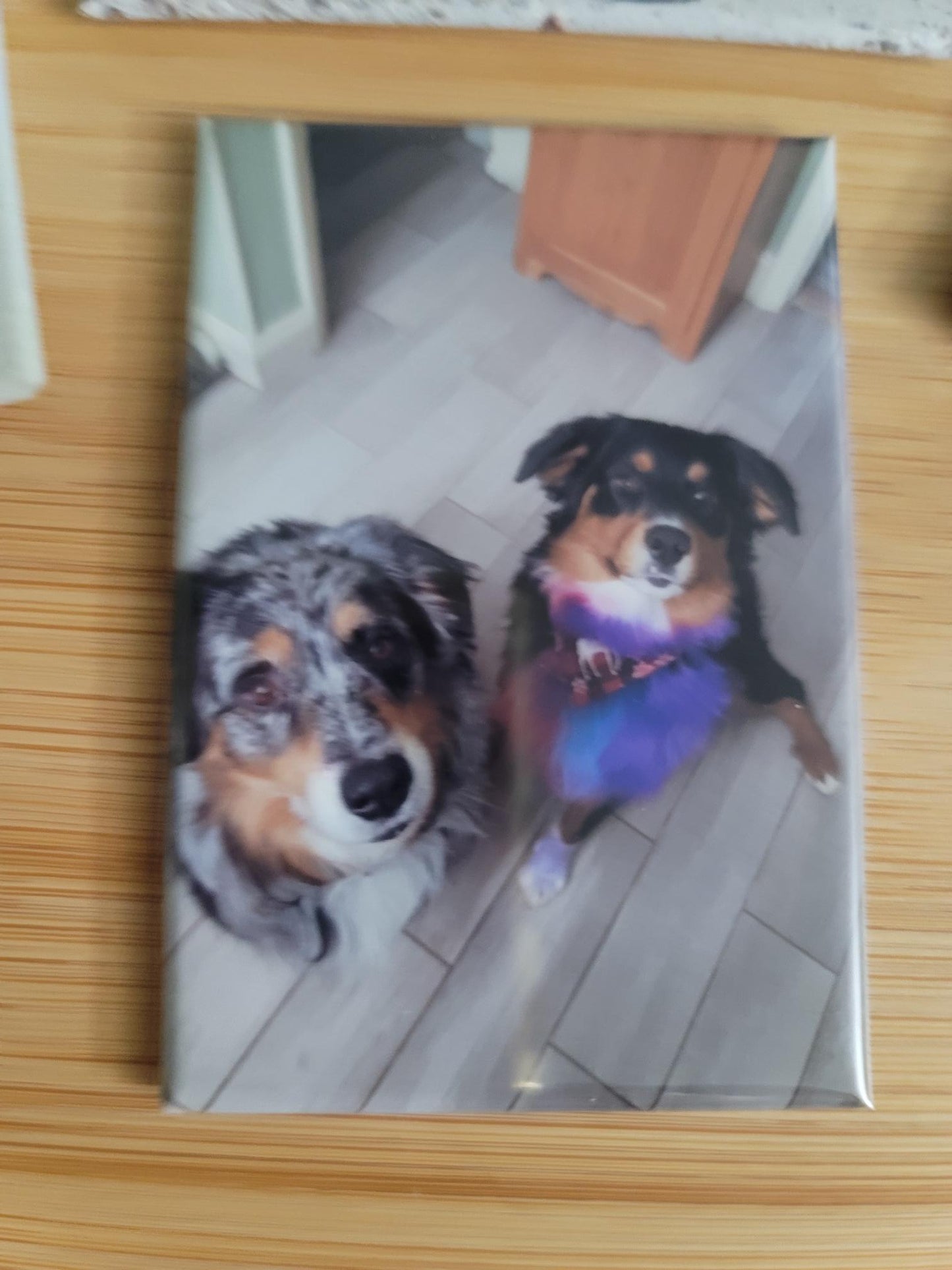 2x3 inch Photo Magnet Set of 6