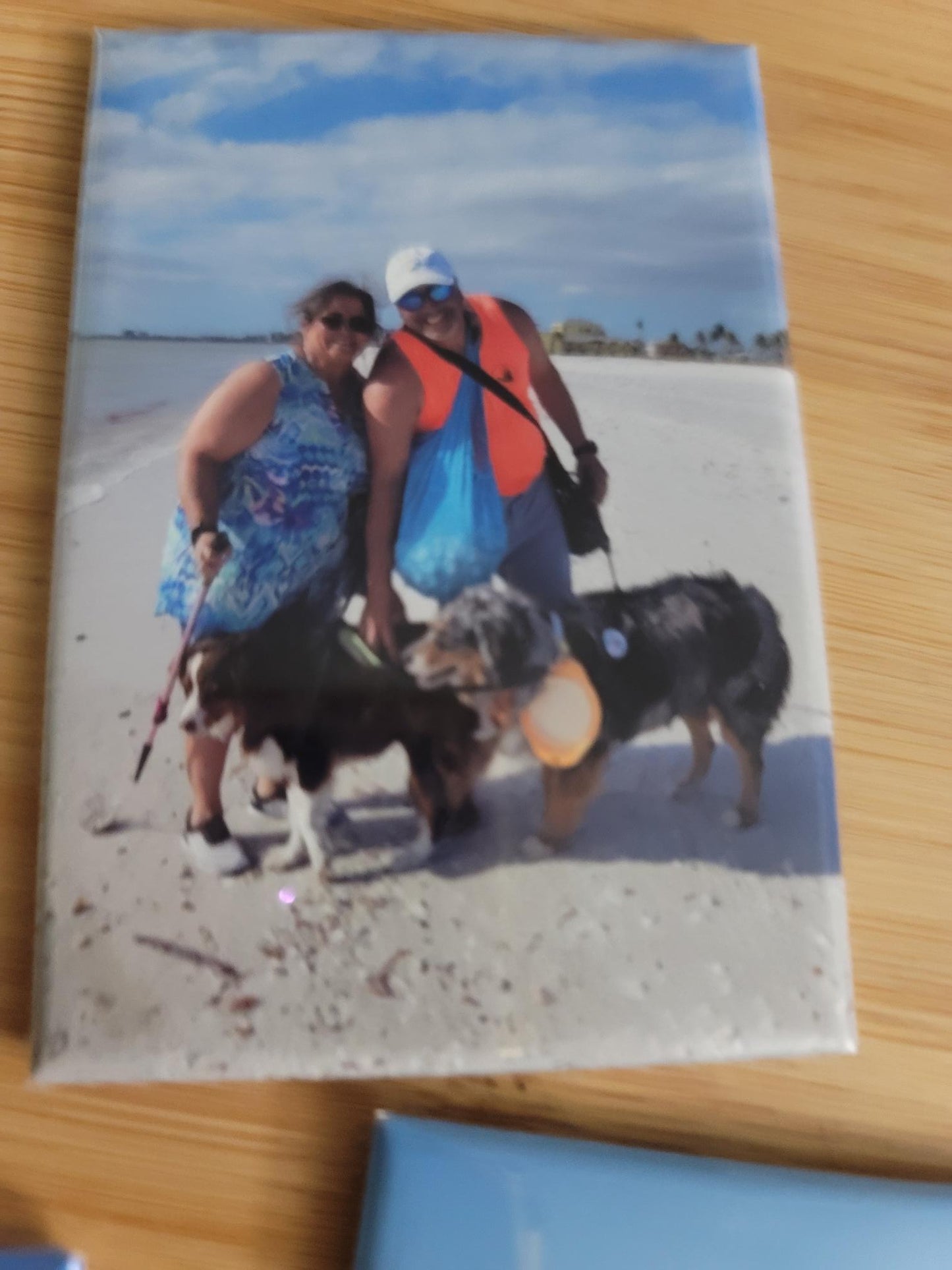 2x3 inch Photo Magnet Set of 6