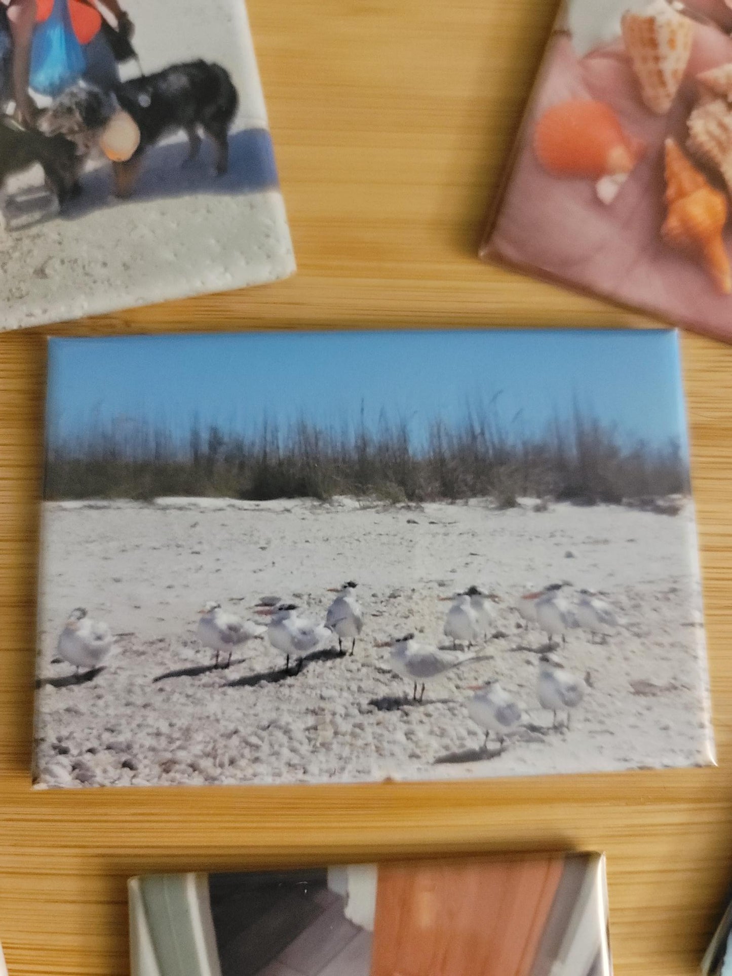 2x3 inch Photo Magnet Set of 6