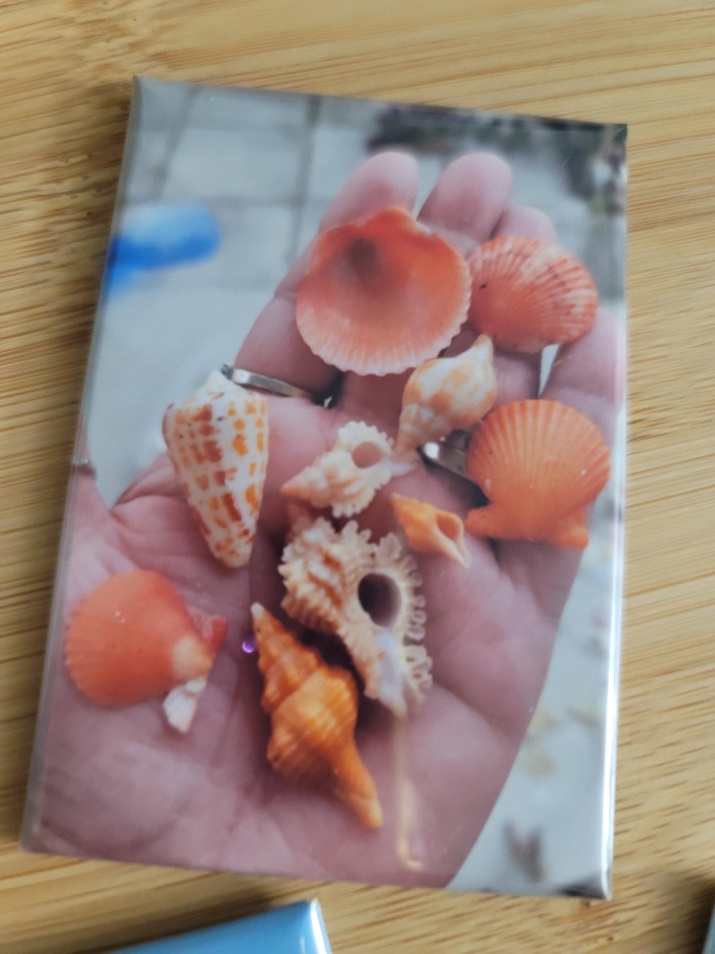 2x3 inch Photo Magnet Set of 6