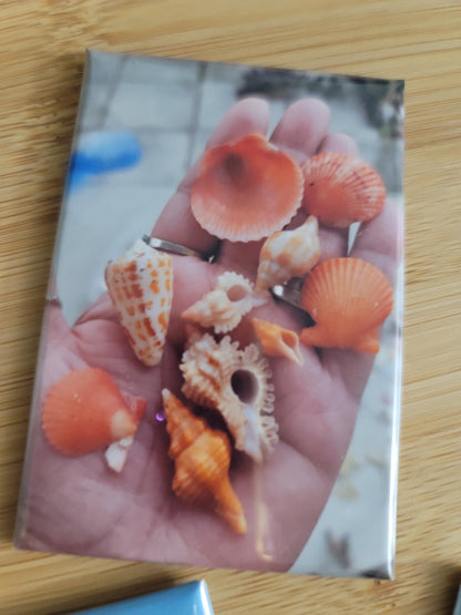 2x3 inch Photo Magnet Set of 6