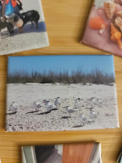 2x3 inch Photo Magnet Set of 6